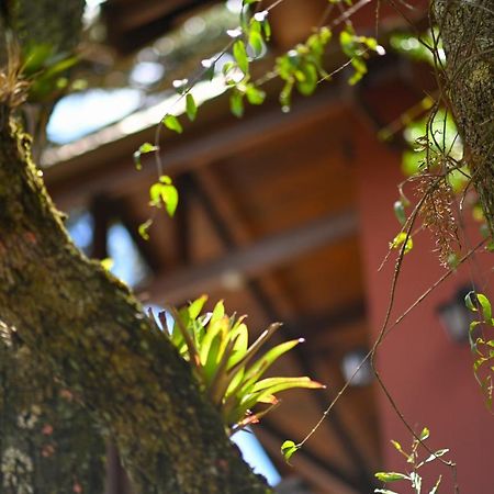 Badenwein Villa Campos do Jordao Ngoại thất bức ảnh